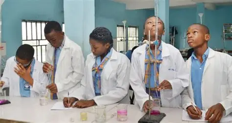 Olusola International School Logo